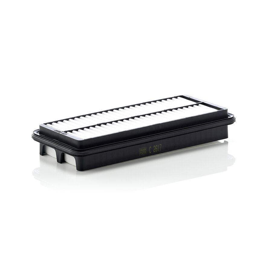 Filtro aria MANN C2617