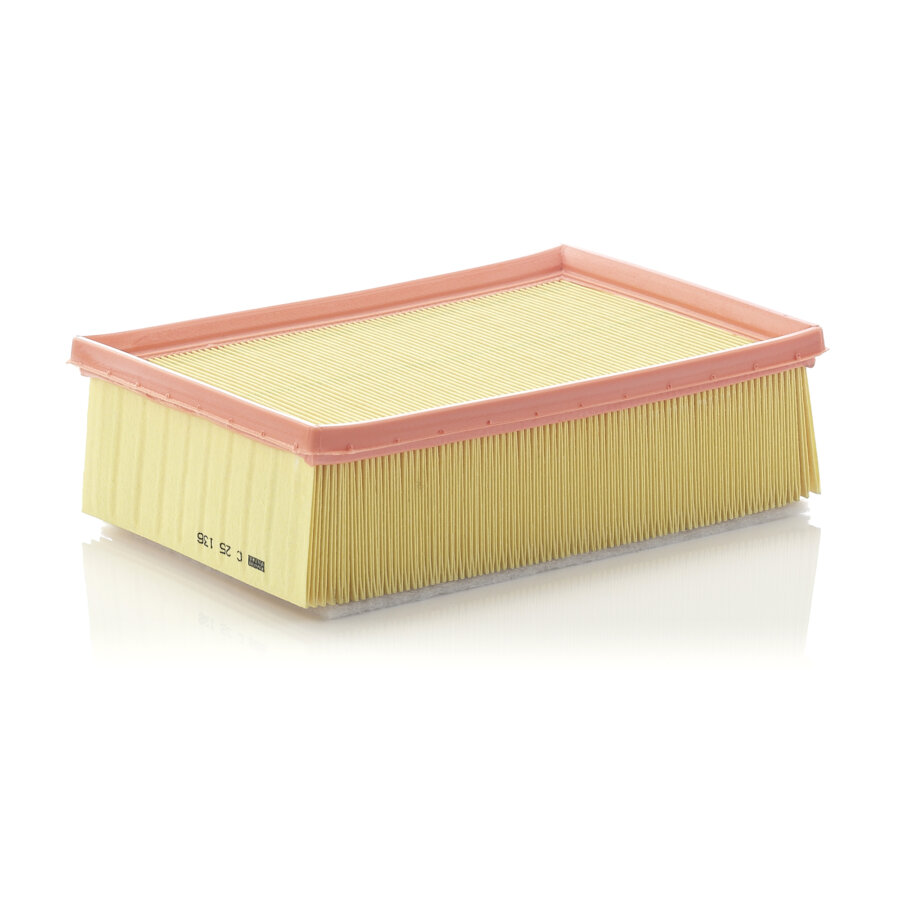 Filtro aria MANN C25136