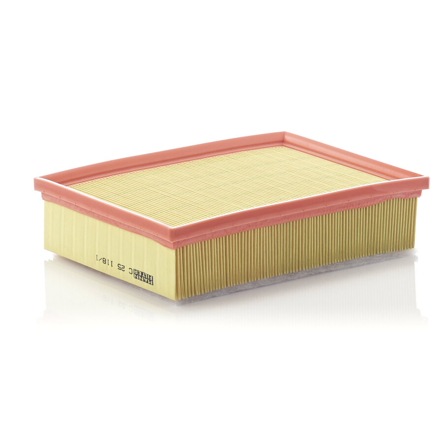Filtro aria MANN C25118/1