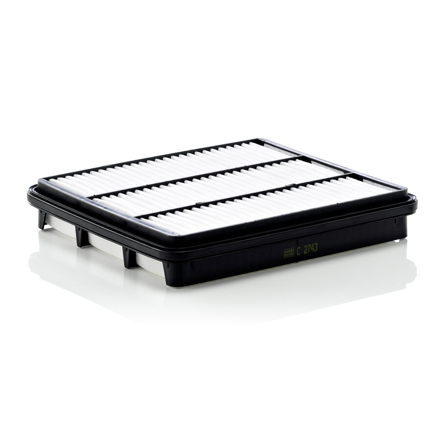 Filtro aria MANN C2743