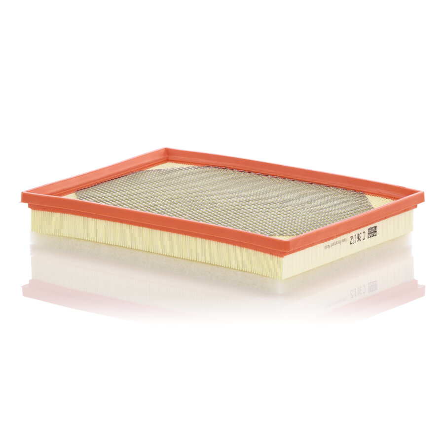 Filtro aria MANN C36172