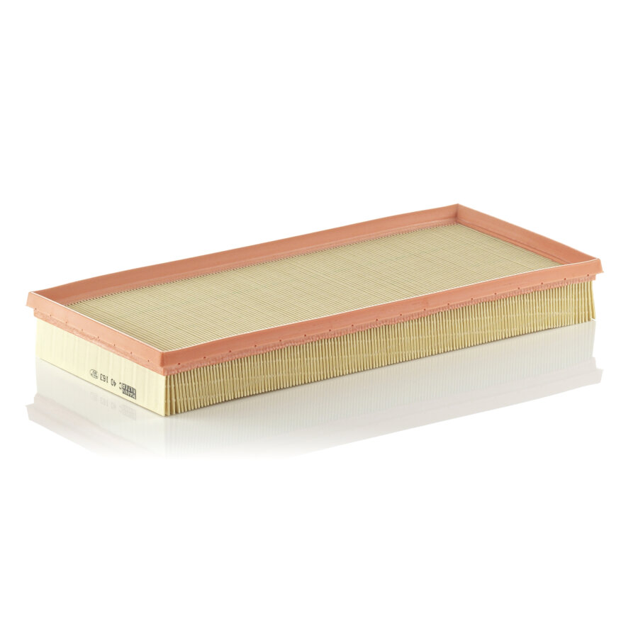 Filtro aria MANN C40163
