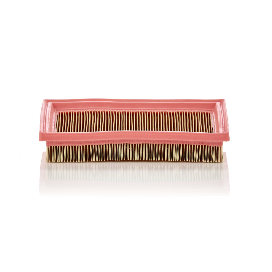 Filtro aria MANN C2244