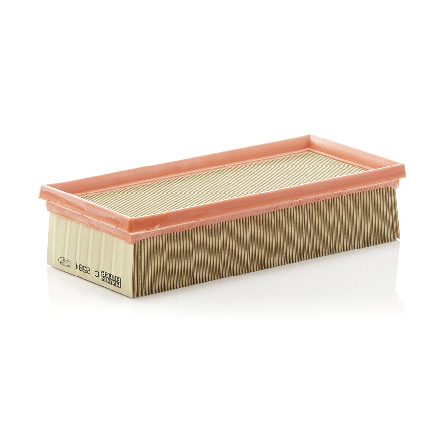 Filtro aria MANN C2584