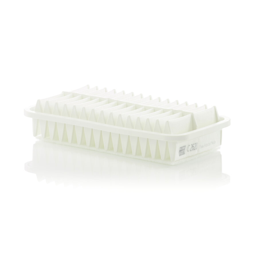 Filtro aria MANN C2620