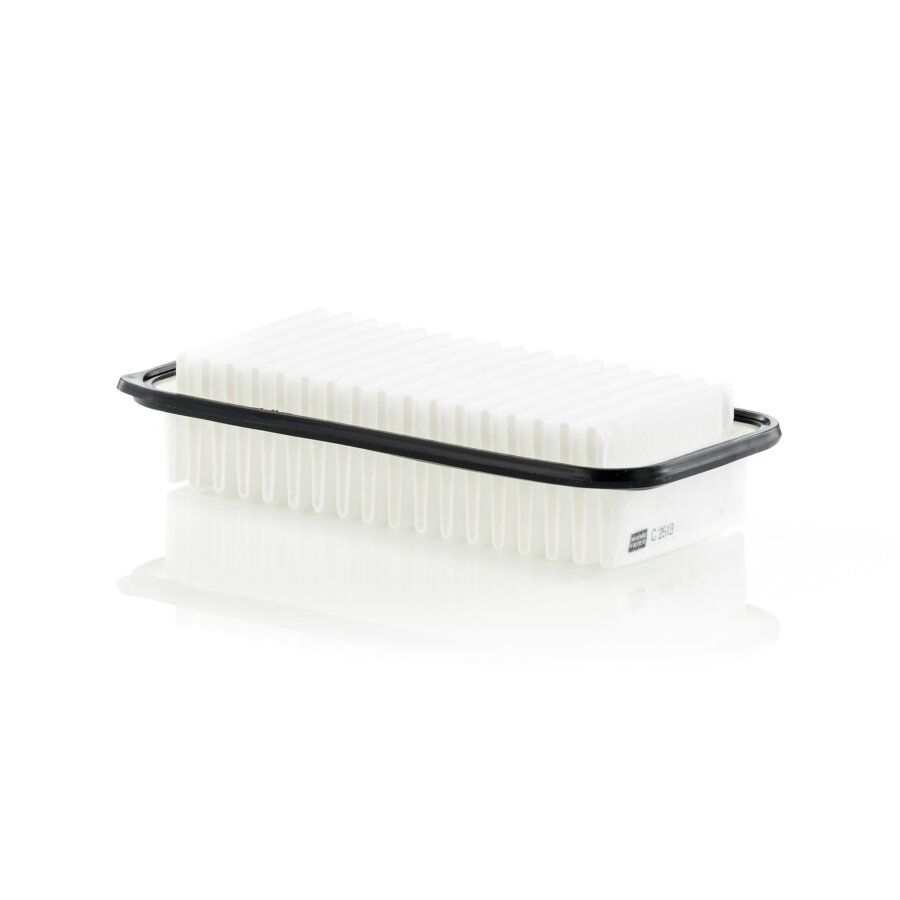 Filtro aria MANN C2513