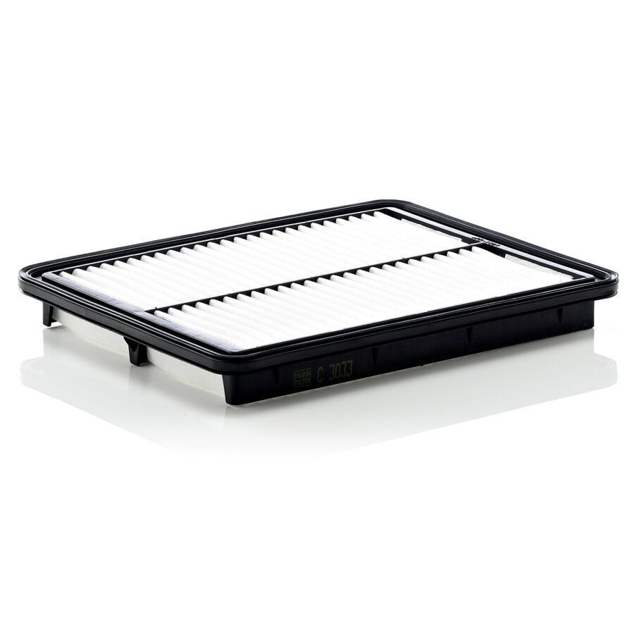 Filtro aria MANN C3033