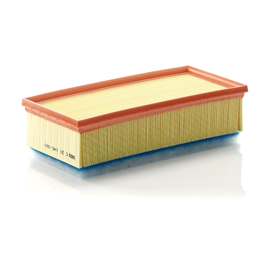 Filtro aria MANN C31145