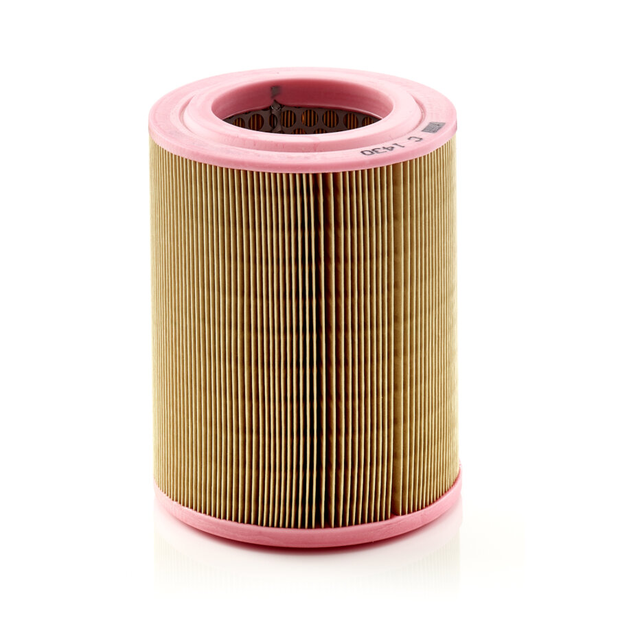 Filtro aria MANN C1430