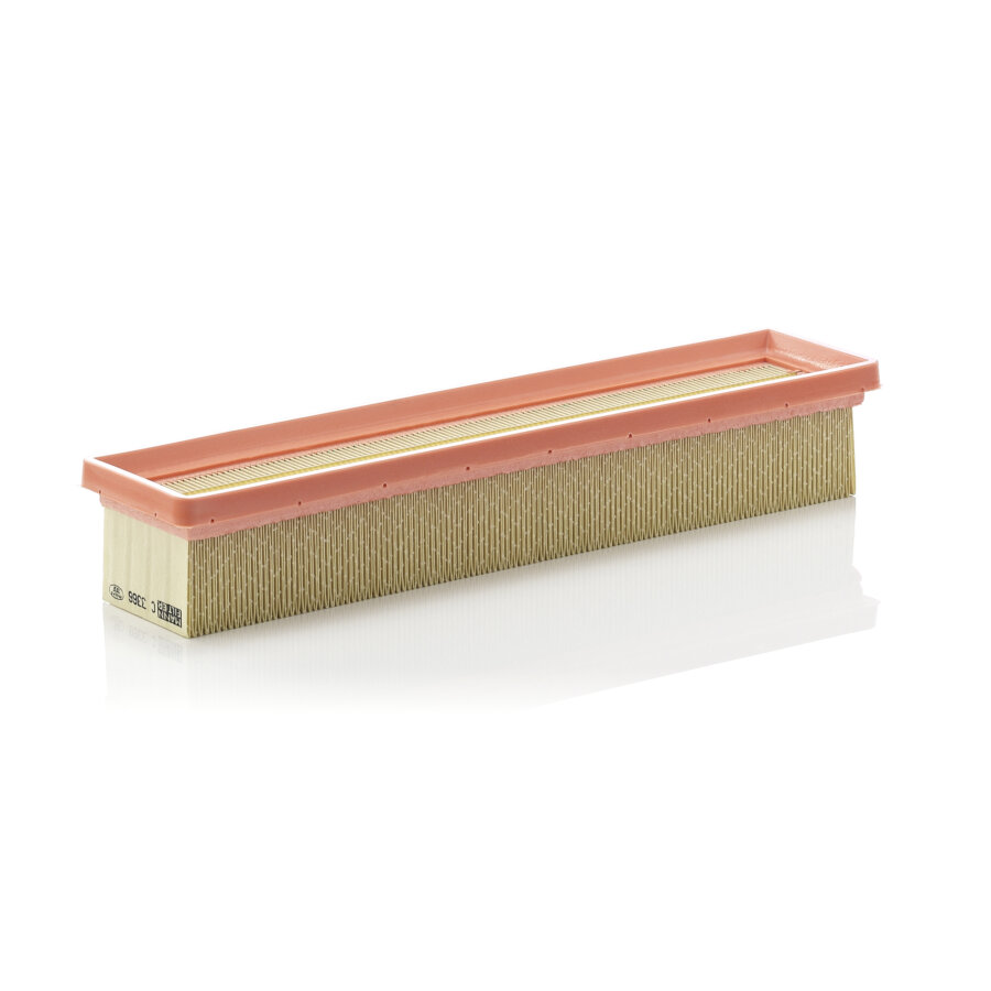 Filtro aria MANN C3366