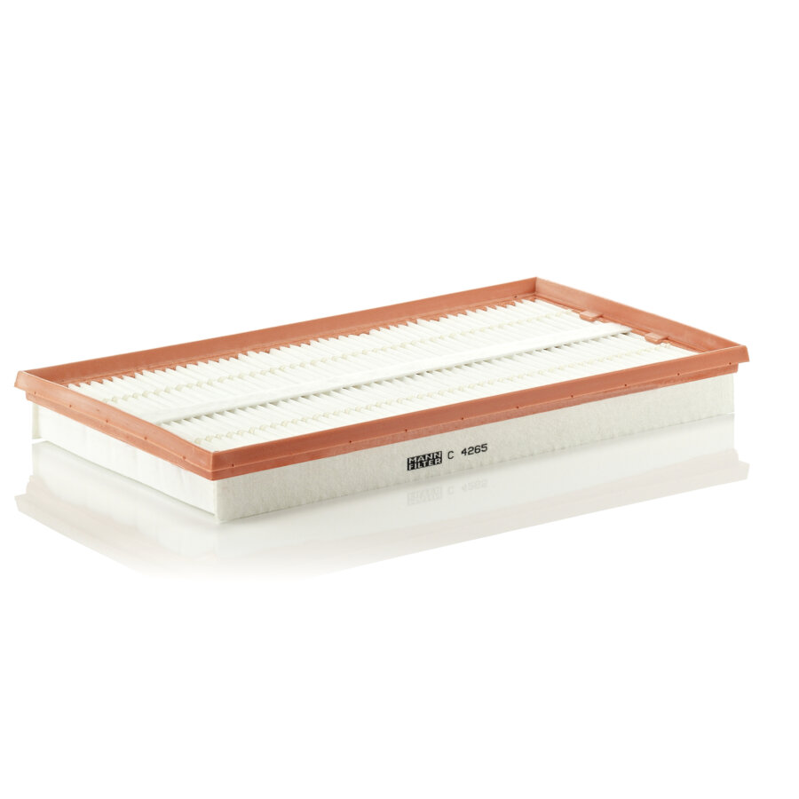 Filtro aria MANN C4265