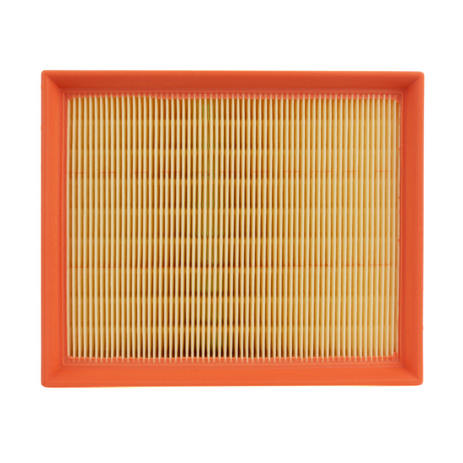 Filtro aria MANN C21116/1