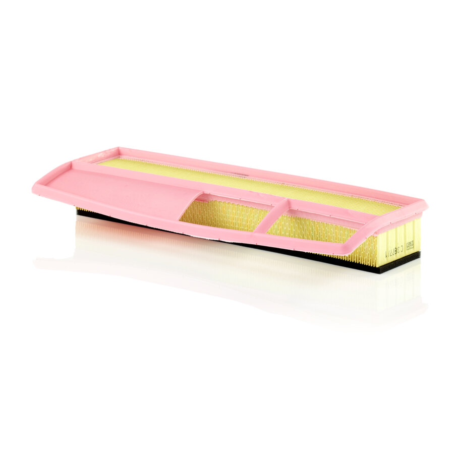Filtro aria MANN C3877/1