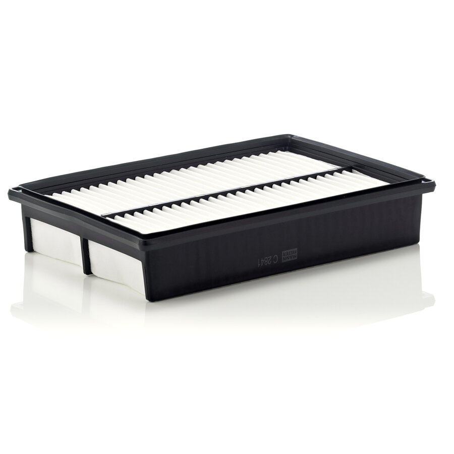 Filtro aria MANN C2841