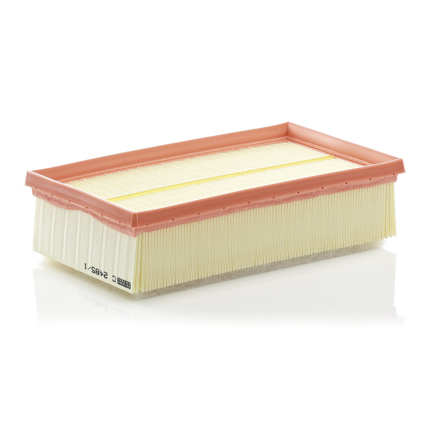 Filtro aria MANN C2485/1
