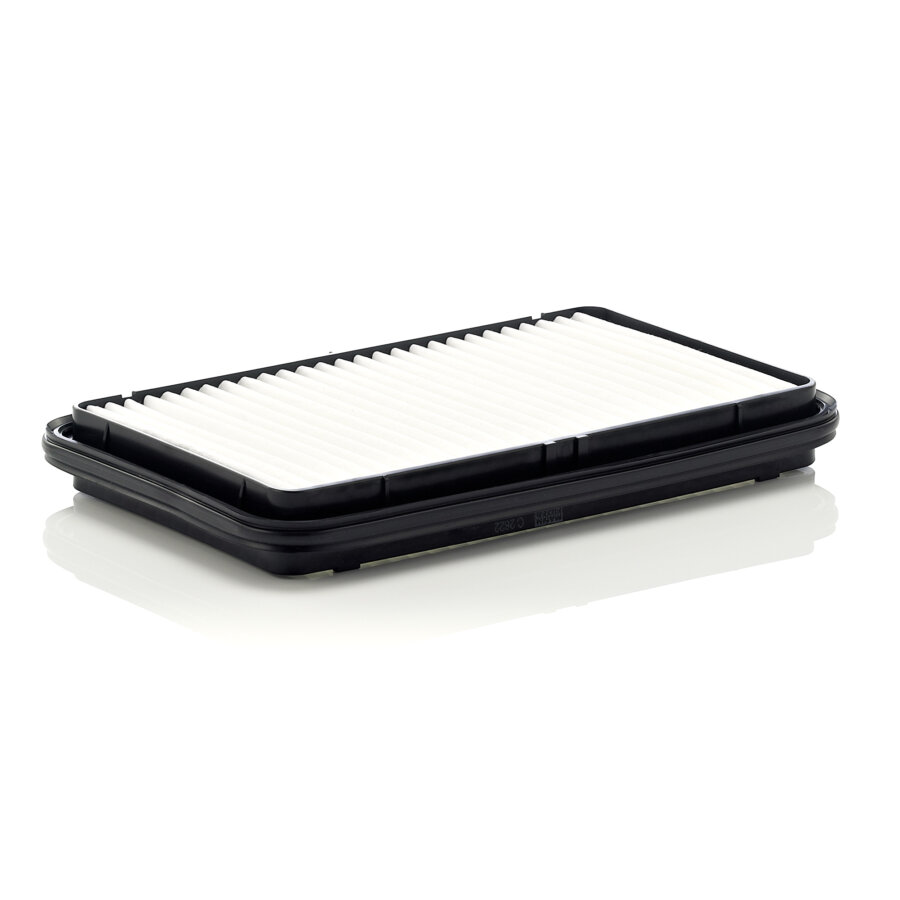 Filtro aria MANN C2622