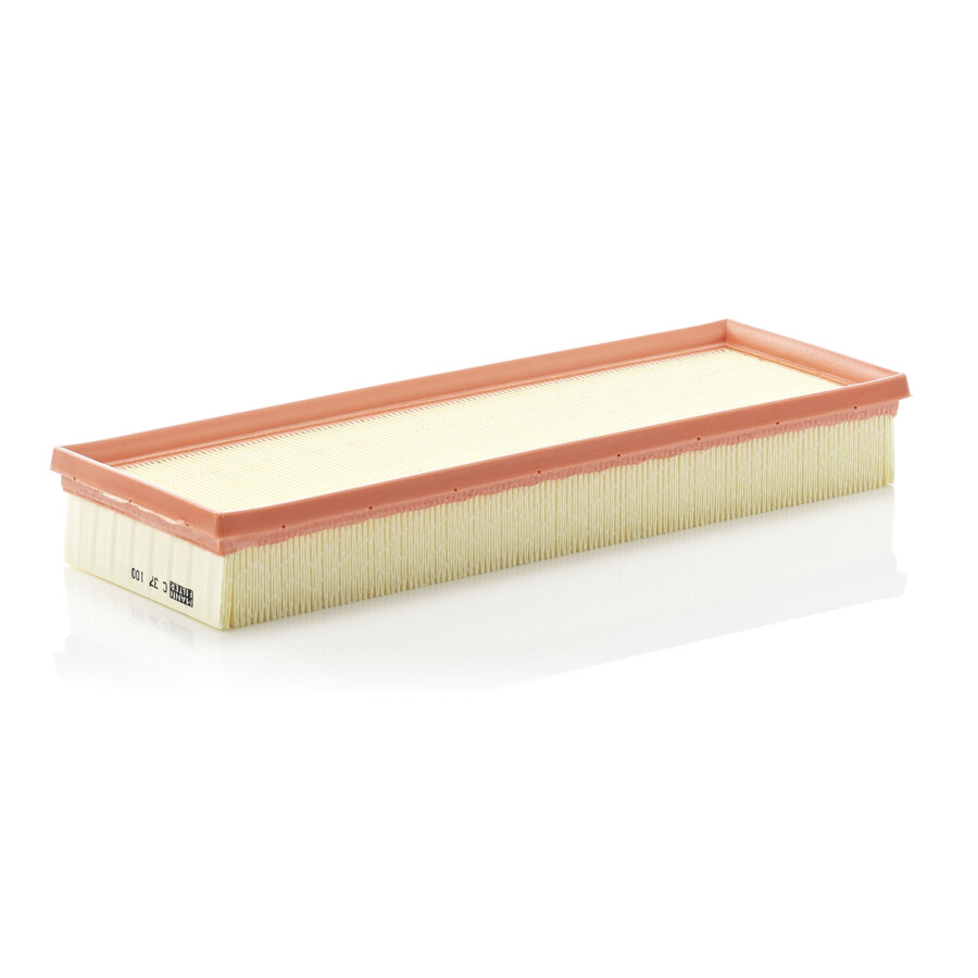 Filtro aria MANN C37100