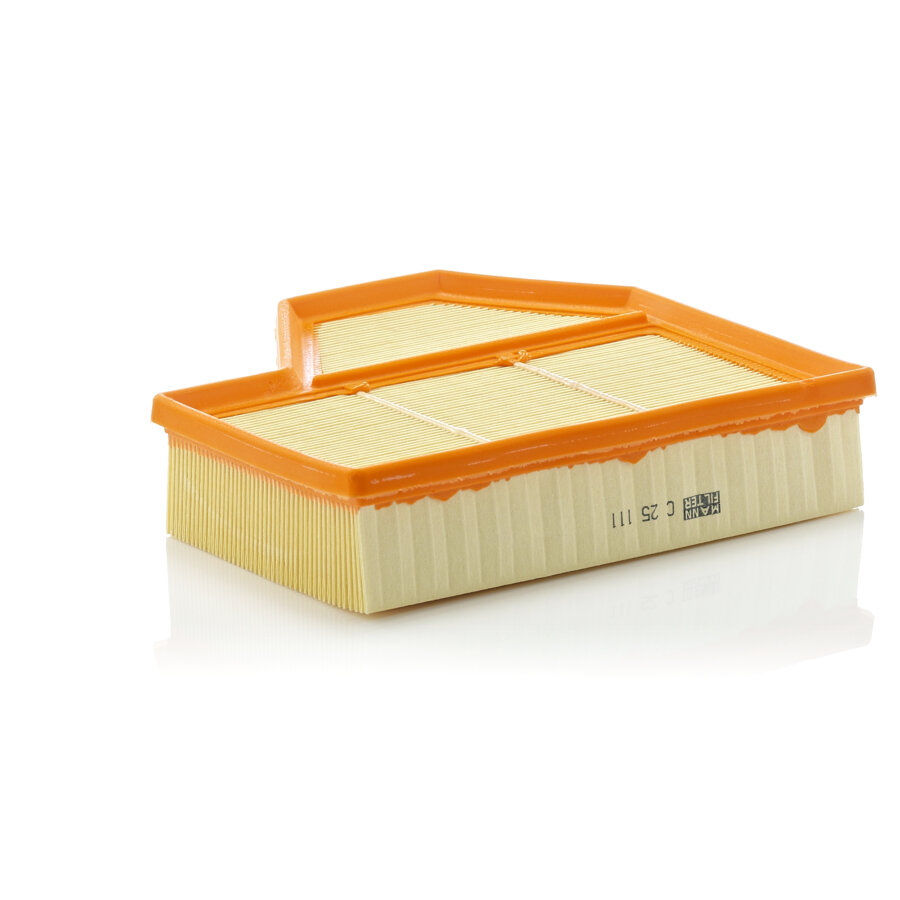 Filtro aria MANN C25111