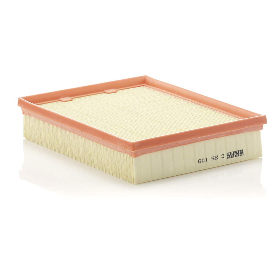 Filtro aria MANN C35134