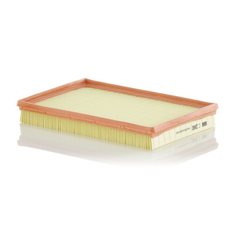 Filtro aria MANN C2880