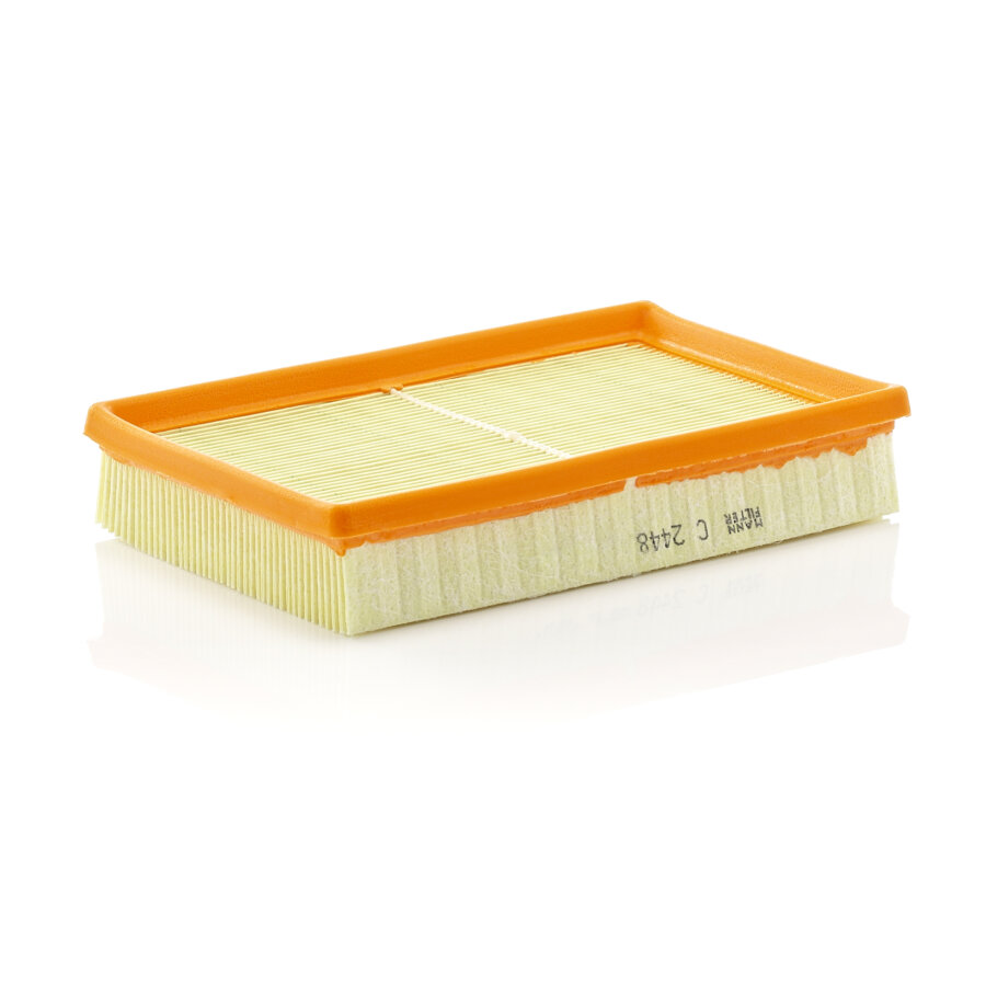 Filtro aria MANN C2448