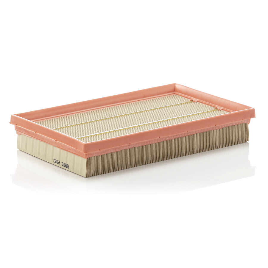 Filtro aria MANN C2683