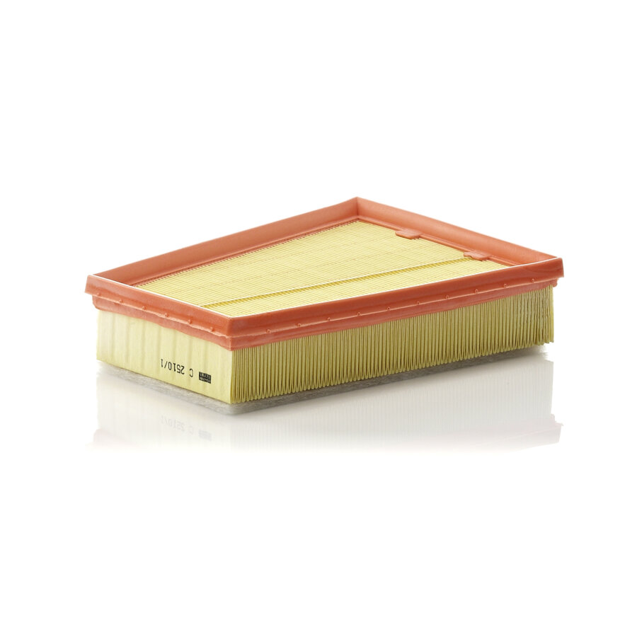 Filtro aria MANN C2510/1