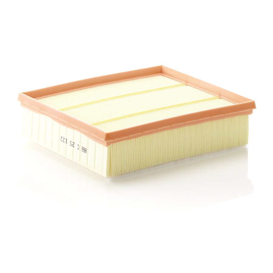 Filtro aria MANN C25122