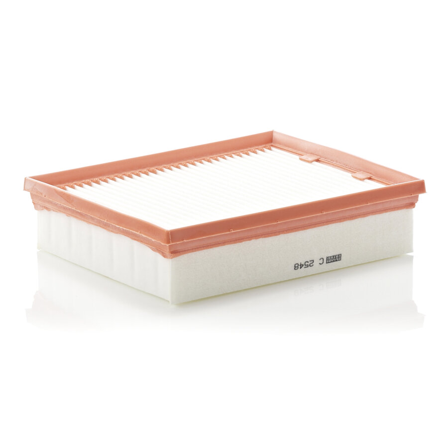 Filtro aria MANN C2548