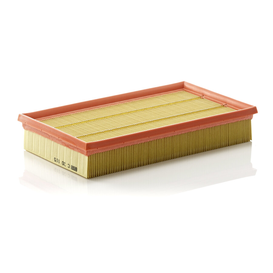 Filtro aria MANN C30115