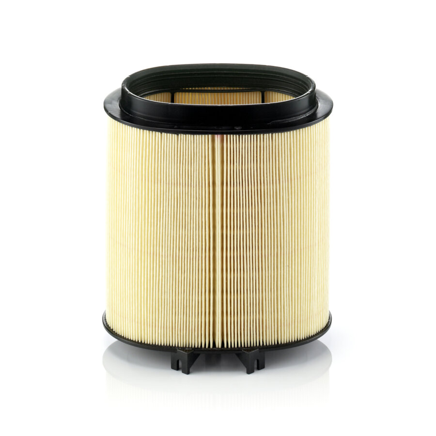 Filtro aria MANN C1869