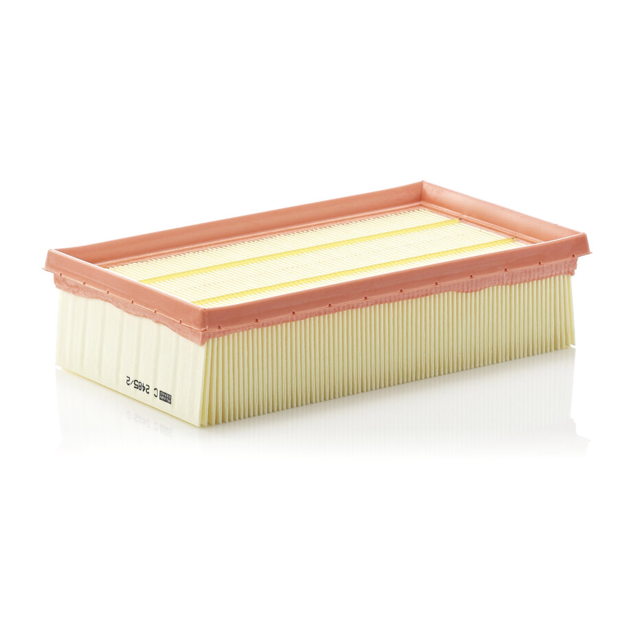 Filtro aria MANN C2485/2