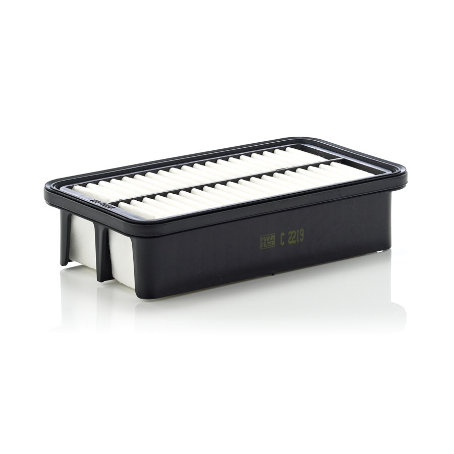 Filtro aria MANN C2219