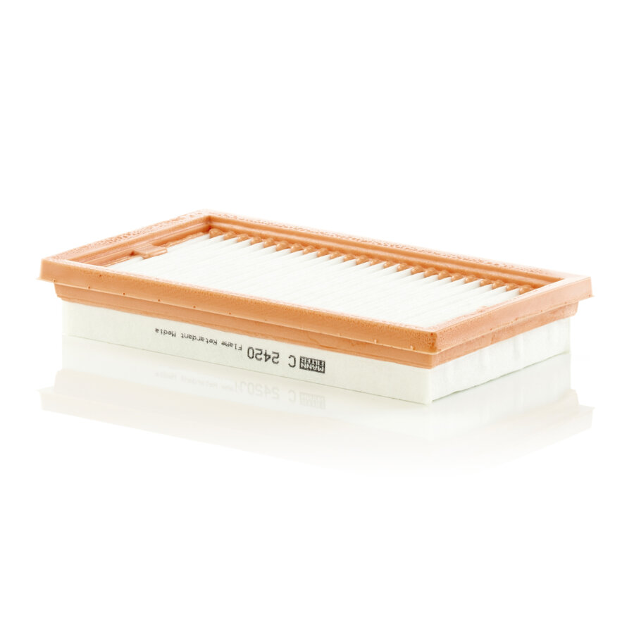 Filtro aria MANN C2420