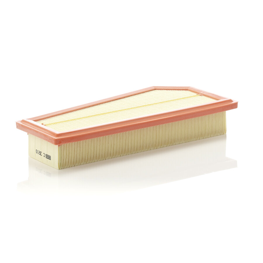Filtro aria MANN C3210