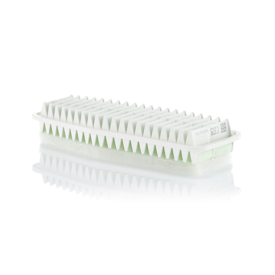 Filtro aria MANN C3725