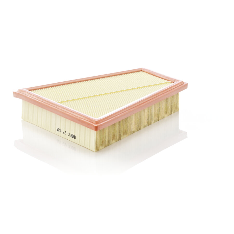Filtro aria MANN C27125