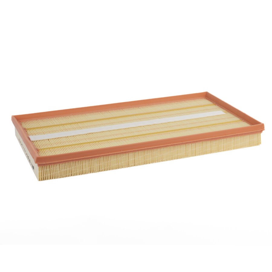 Filtro aria MANN C42192/1