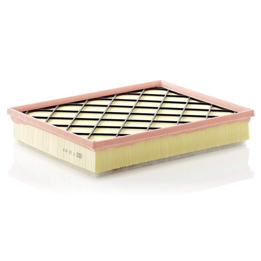 Filtro aria MANN C33001