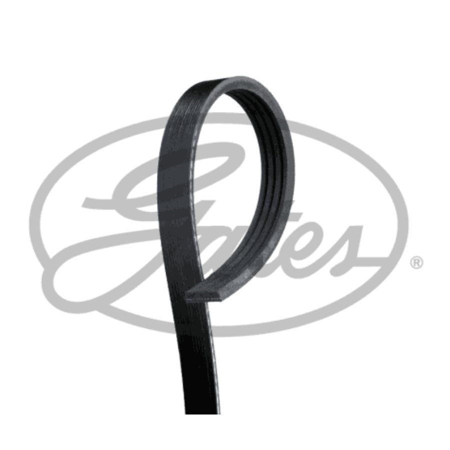 Cinghia dei servizi e accessori GATES 4PK698