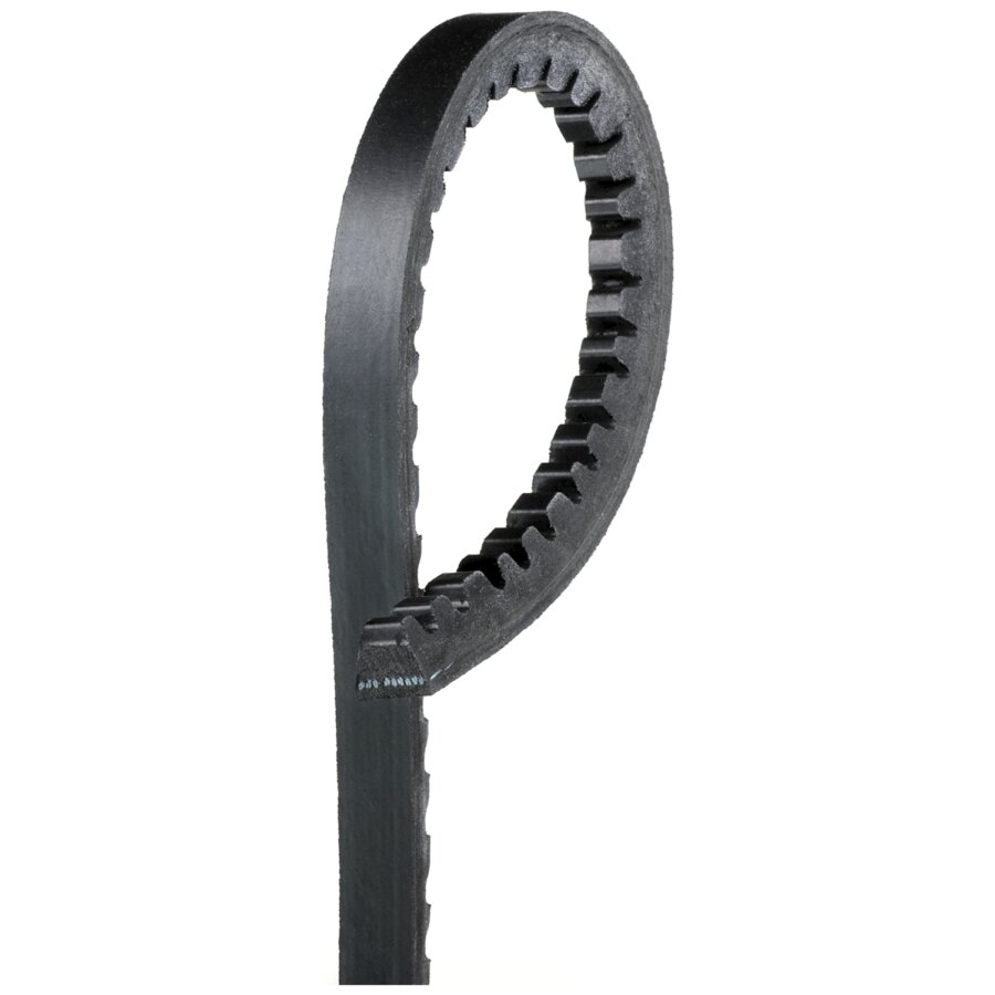 Cinghia dei servizi e accessori GATES 6269MC