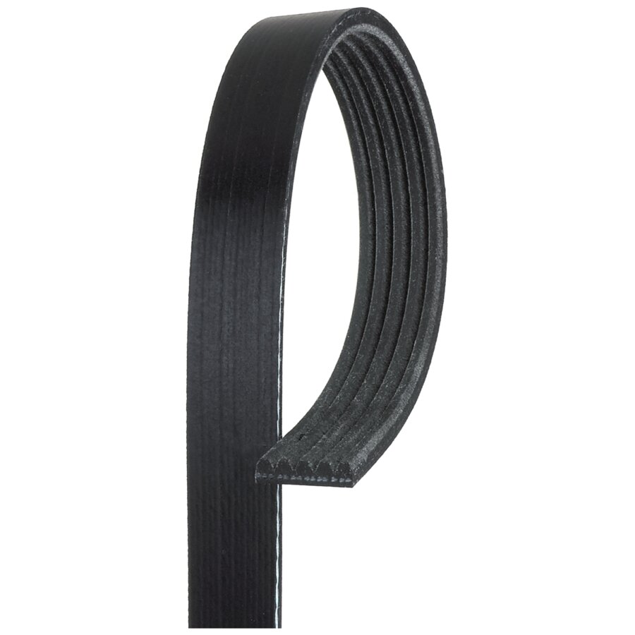 Cinghia dei servizi e accessori GATES 5PK1013