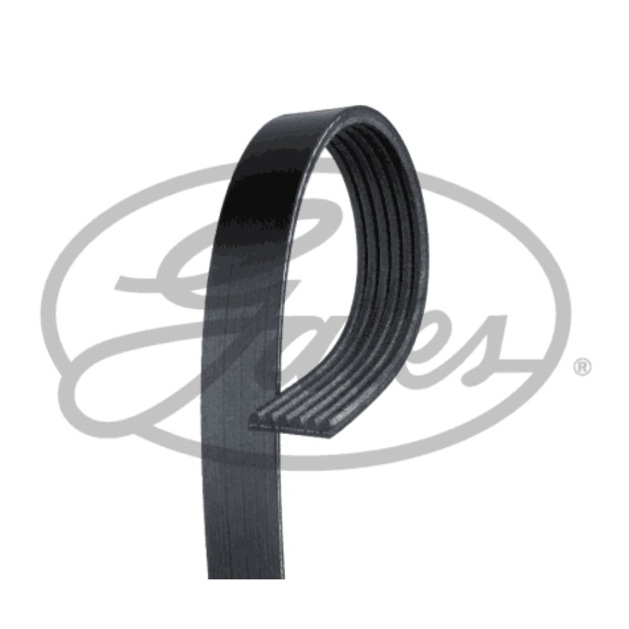 Cinghia Poly-V GATES 6PK1818