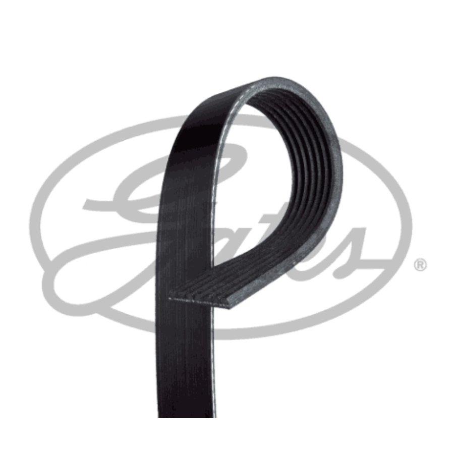 Cinghia dei servizi e accessori GATES 7PK1103