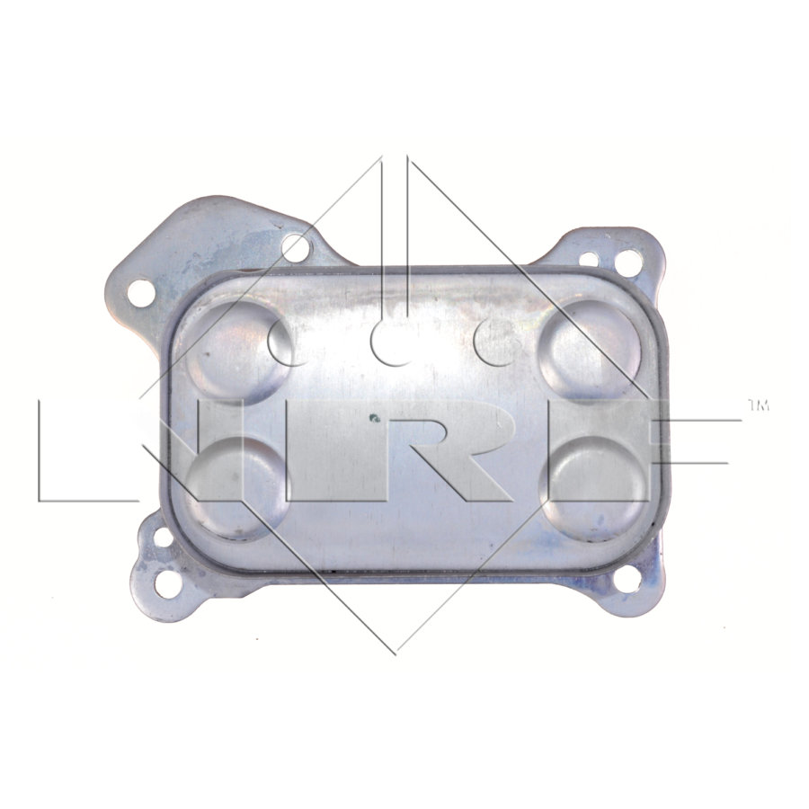 Radiatore dell’olio NRF 31167
