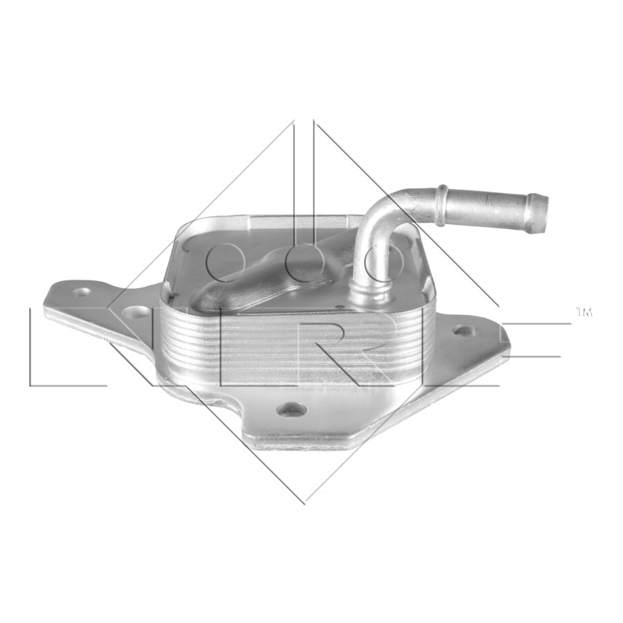 Radiatore dell’olio NRF 31317