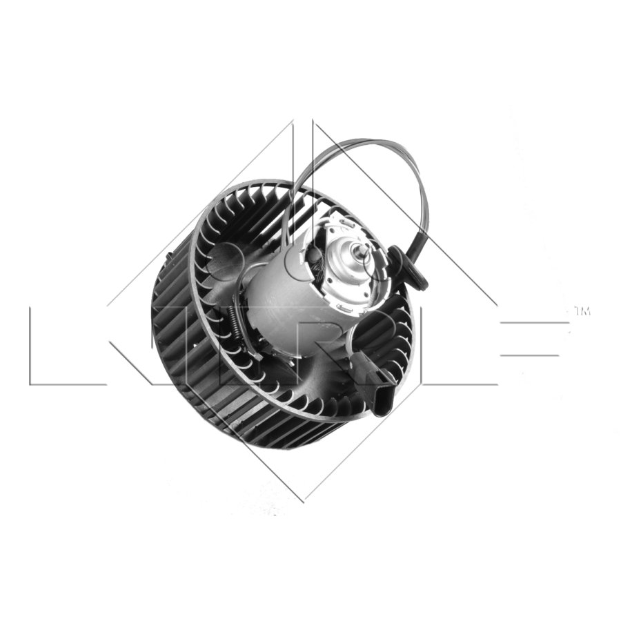 Taros Trade 156217 Ventilatore Abitacolo - Ricambio Per Lexus RX (04-09), Toyota Camry (01-06), Sienna (04-10). Diametro 154mm, 2 Pin.