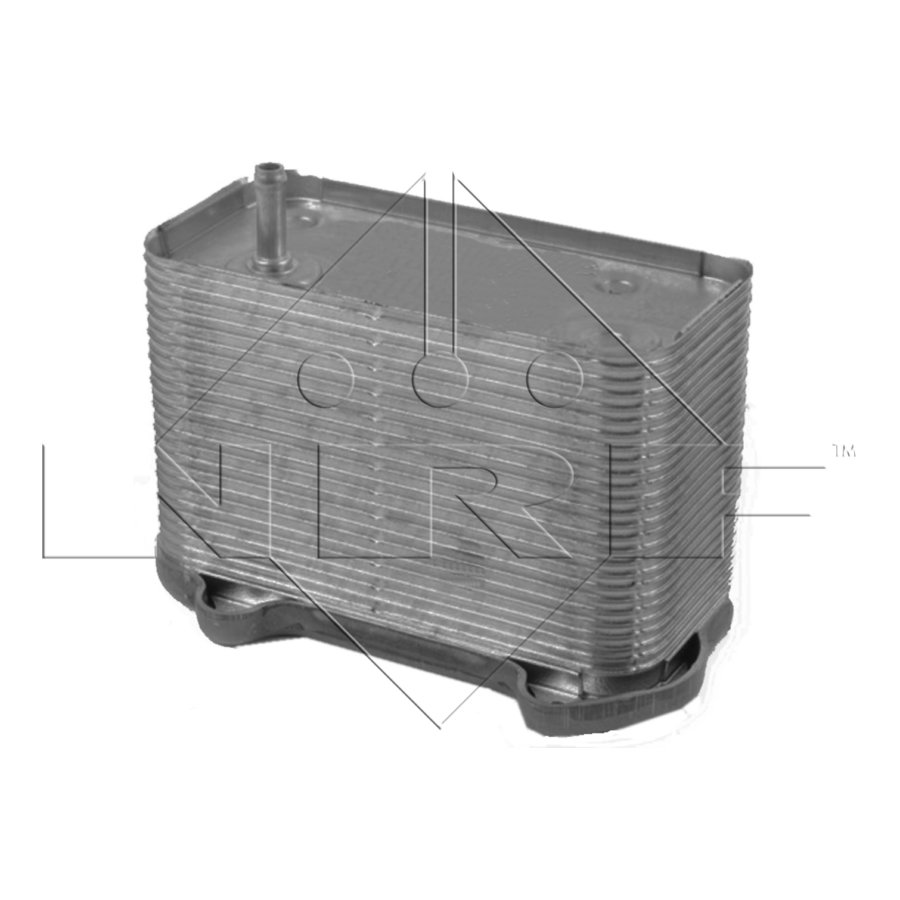 Radiatore dell’olio NRF 31291