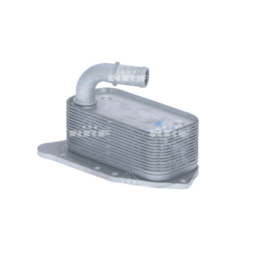 Radiatore dell’olio NRF 31341