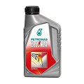 Olio SELENIA Digitek PE C2 0W30 1 litro